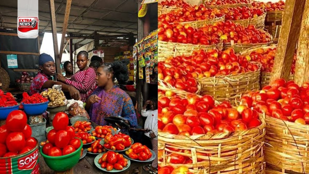 Anambra Food Prices Rise as Onitsha Traders Count Costs