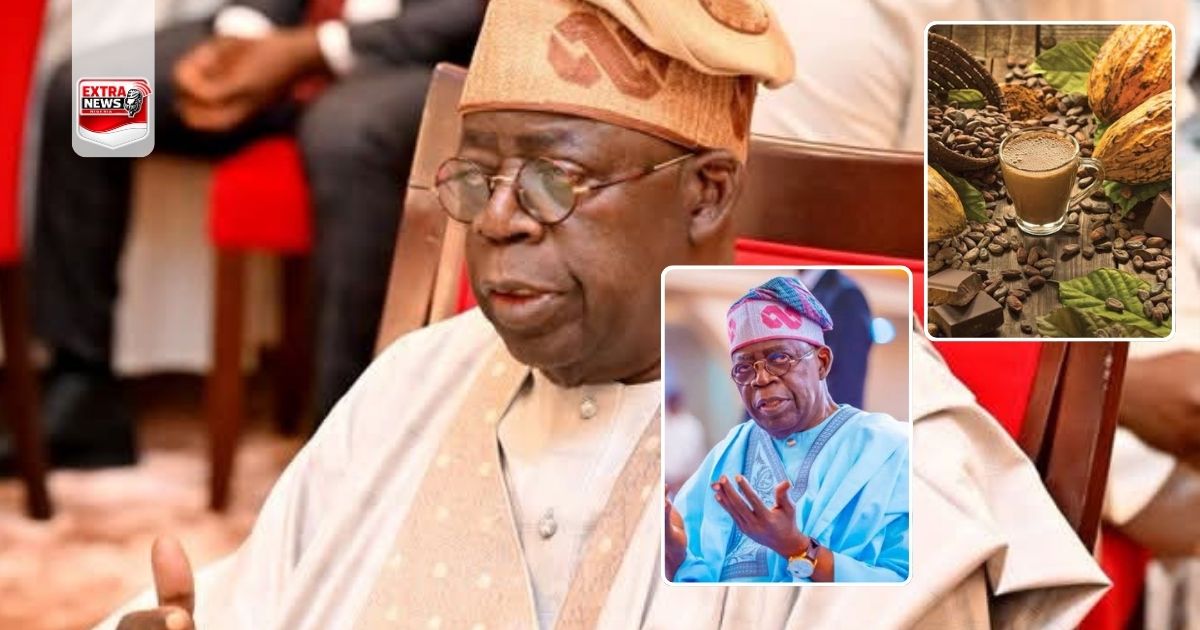 Tinubu Ends Raw Cocoa Exports, Pushes Local Processing Plan.