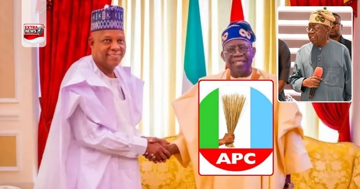 Tinubu Earns APC Chieftain's Praise Over Shettima's 2027 Retention.